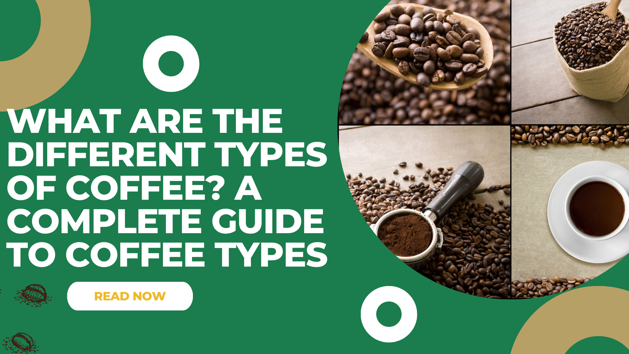 What Are the Different Types of Coffee? A Complete Guide to Coffee Types